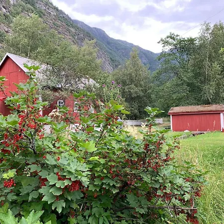 Aobrio Holidayhouse, Authentic Norwegian Farmhouse Close To Flam Laerdalsoyri Exterior photo