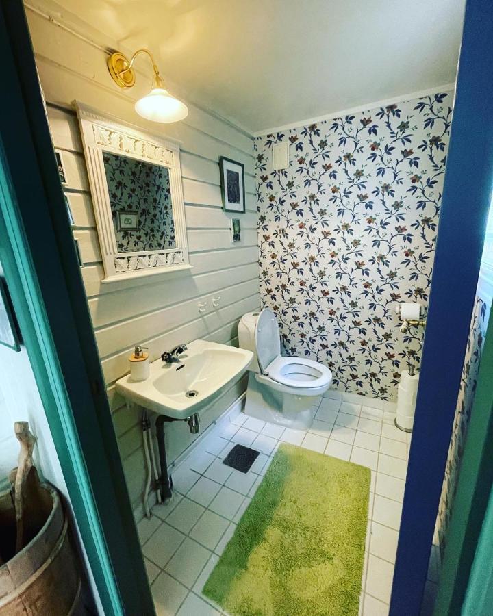 Aobrio Holidayhouse, Authentic Norwegian Close To Flam Holiday home Laerdalsoyri