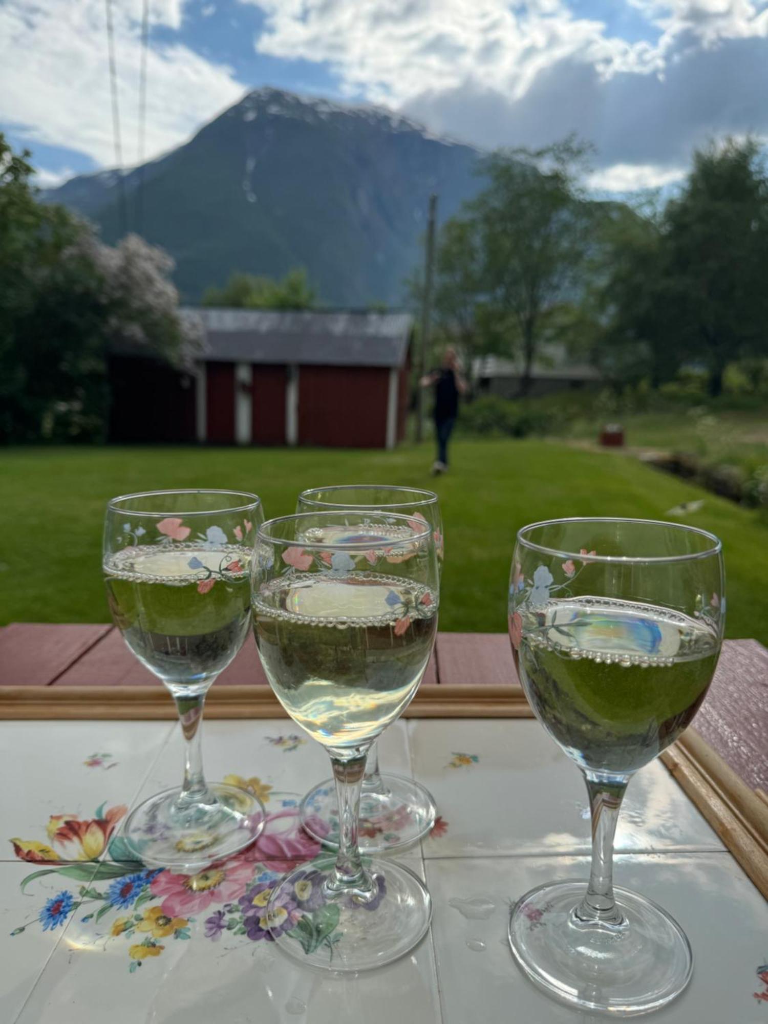 Aobrio Holidayhouse, Authentic Norwegian Close To Flam Semesterbostad Lærdalsøyri