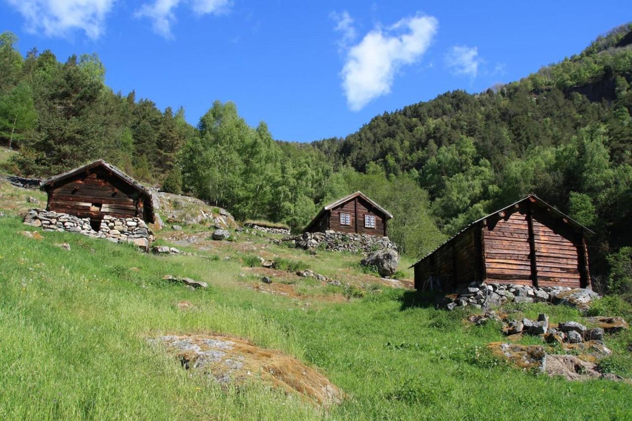 Semesterbostad Aobrio Holidayhouse, Authentic Norwegian Close To Flam Lærdalsøyri