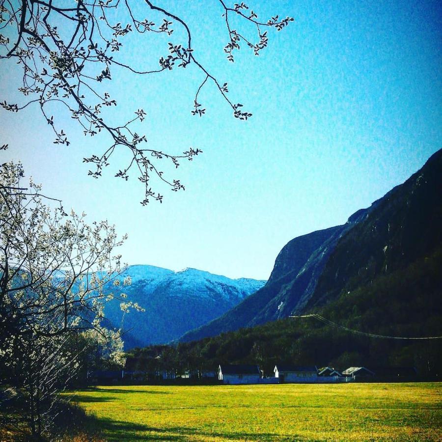 Aobrio Holidayhouse, Authentic Norwegian Close To Flam Lærdalsøyri
